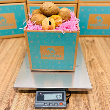 Fresh Sapodilla | Zapote | Chico Box Specialty Box Tropical Fruit Box